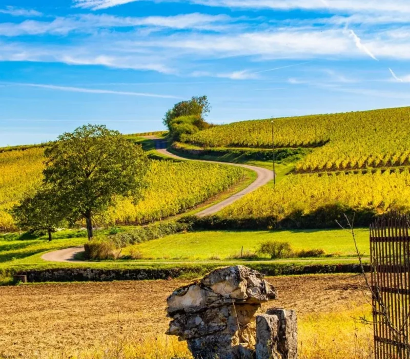 Domaine Kaet - Balades nature et dégustation de Vins de Bourgogne